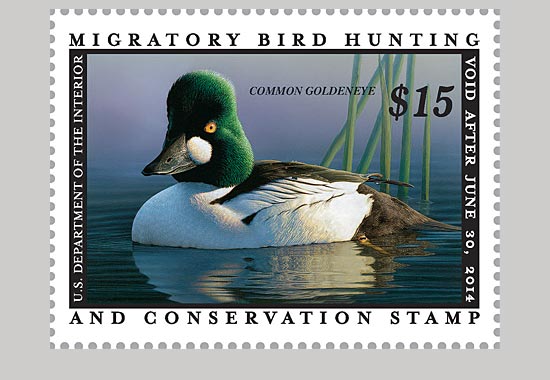 Bird-Stamp