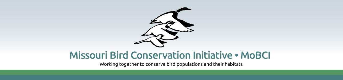 Missouri Bird Conservation Initiative